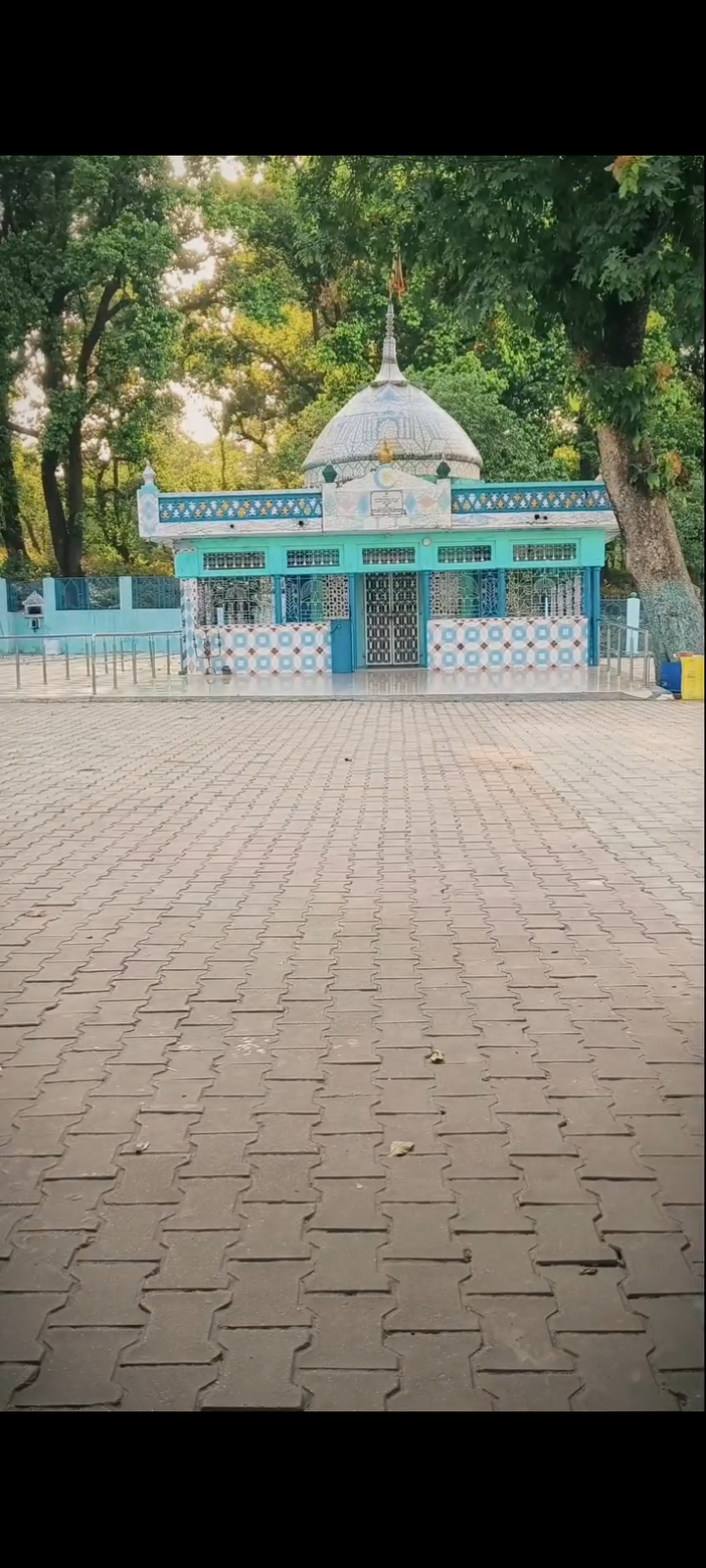 Area Tarai  AI 